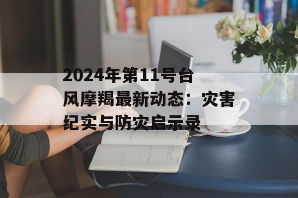 2024年第11号台风摩羯最新动态：灾害纪实与防灾启示录-第1张图片-