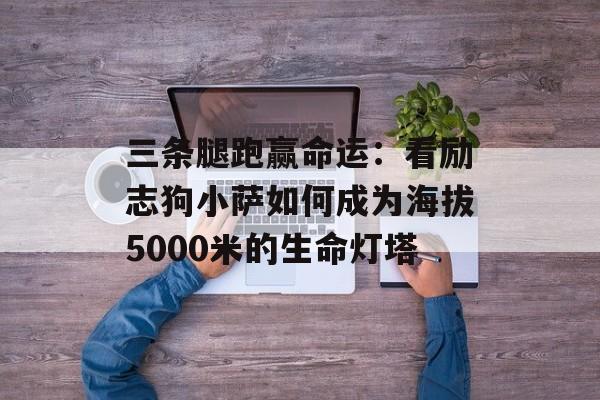 三条腿跑赢命运：看励志狗小萨如何成为海拔5000米的生命灯塔-第1张图片-