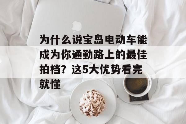 为什么说宝岛电动车能成为你通勤路上的最佳拍档?这5大优势看完就懂-第1张图片- 为什么说宝岛电动车能成为你通勤路上的最佳拍档?这5大优势看完就懂-第1张图片-