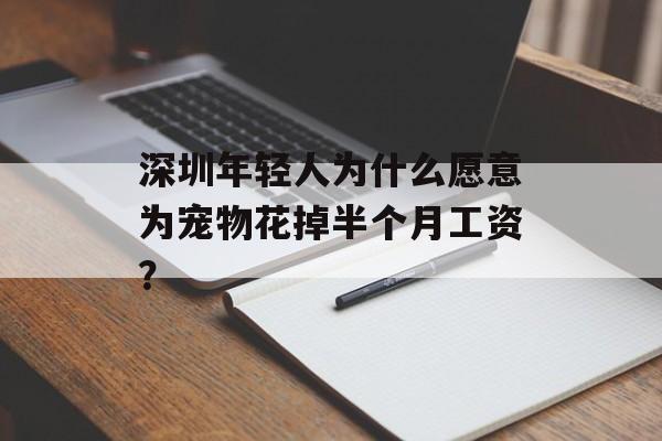 深圳年轻人为什么愿意为宠物花掉半个月工资？-第1张图片-